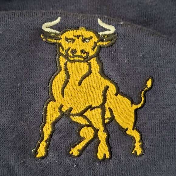 Vintage Charlotte Varsity Ringer Sweatshirt XL 25x27 Navy-Blue Yellow Trim Y2K - Picture 6 of 11